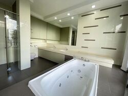 The Peak (D5), Condominium #464388291
